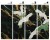 emerald-tsuru_tapety_scienne_fototapety_obrazy_sztuka_wizualizacja_home_wallart-megaaranz.jpg