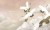 Taupe_Tsuru_wiz_tapeta_scienna_wallart_fototapety_obrazy_megaaranz_mega.jpg