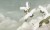sage_tsuru_tapeta_scienna_wallart_fototapety_obrazy_megaaranz_mega.jpg