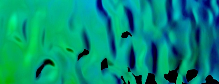 SL-OCEAN-Aqua-lustro-plywajace-sibu-mata-tapeta-okladzinaa-megaaranz.jpg