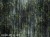 Sherra rt. 895 31 2401-waalcraft-tapety-na-wymiar-indywidualny-oryginal-aranzacja-wnetrz-sciany-megaaranz.jpg