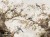 Sharm art. 890 31 2401-waalcraft-tapety-na-wymiar-indywidualny-oryginal-aranzacja-wnetrz-sciany-megaaranz.jpg