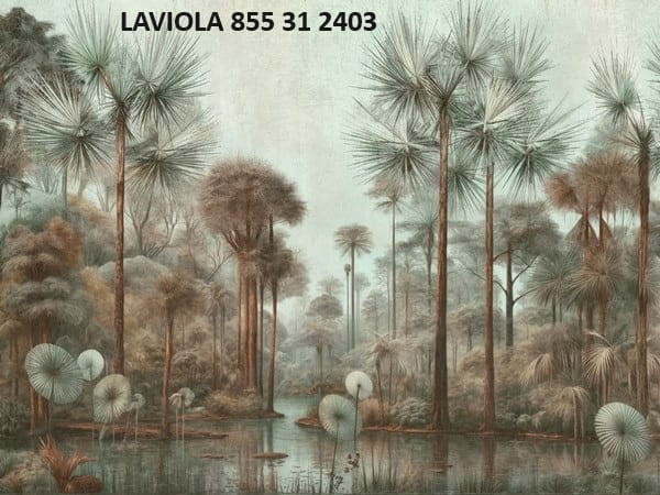 Laviola art. 855 31 2403.jpg