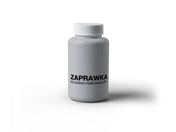 ZAPRAWKA-DO-SREBRNYCH-LISTEW-CREATIVA-MEGAARANZ