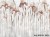 Alora-art.-1025-31-2501-tapety-na-wymiar-wallcraft-megaaranz-aranzacje-wnetrz-pomysl.jpg