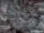 Fosillium-art.-405-31-2101-aranzacja-dom-tapeta-scienna-na-wymiar-wallcraft-megaaranz.jpg