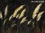 Verina-1000-31-2402-tapety-na-wymiar-fototapety-aranzacja-wnetrz-wallcraft-megaaranz.jpg