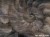 Fosillium-art.-405-32-2101-aranzacja-dom-tapeta-scienna-na-wymiar-wallcraft-megaaranz.jpg