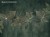 Blara-Art.615-32-2201-600x450-tapety-scienne-fototapety-obrazy-dziela-natura-aranzacja-wallcraft-megaaranz.jpg