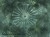 Orlanda-Art.-695-33-2202-2-600x450-tapeta-scienna-wallpaper-wall-remont-wallcraft-megaaranz.jpg