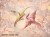 Allevi-Art.-620-32-2202-2-600x450-tapeta-scienna-wallpaper-wall-remont-wallcraft-megaaranz.jpg