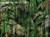 Jungle-Art.-805-32-2301-wallcraft-wall-sciana-pomysl-aranzacja-tapety-scienne-fototapety-obrazy-megaaranz.jpg