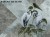 Ardea-art-330-32-2101-tapeta-scienna-winylowa-wallcraft-foto-obraz-sztuka-megaaranz.jpg