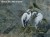 Ardea-art-330-33-2101-tapeta-scienna-winylowa-wallcraft-foto-obraz-sztuka-megaaranz.jpg