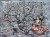 Sakura Art. 490 32 2102-tapeta-scienna-winylowa-wallcraft-foto-obraz-sztuka-megaaranz.jpg