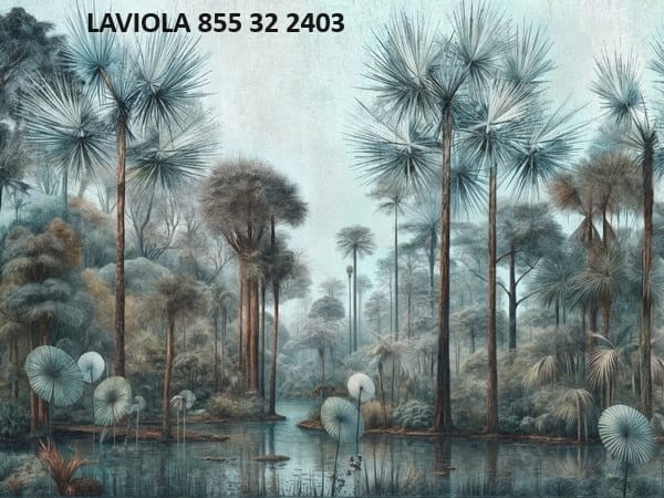 Laviola art. 855 32 2403.jpg