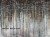Initio Art. 465 32 2102-tapety-scienne-wallcraft-winylowe-fototapety-obrazy-sztuka-megaaranz.jpg