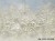 Whisper-art.-1110-32-2501-tapety-na-wymiar-wallcraft-megaaranz-aranzacje-wnetrz-pomysl.jpg
