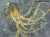 Albina-1010-33-2402-tapety-na-wymiar-fototapety-aranzacja-wnetrz-wallcraft-megaaranz.jpg