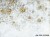 Arcadia-930-32-2402-tapety-na-wymiar-fototapety-aranzacja-wnetrz-wallcraft-megaaranz.jpg