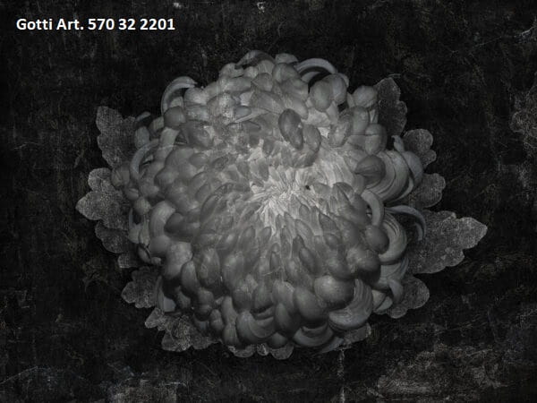 Gotti-Art.-570-32-2201-600x450-tapety-scienne-fototapety-obrazy-dziela-natura-aranzacja-wallcraft-megaaranz.jpg
