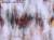 Aretha-art-400-32-2101-tapeta-scienna-winylowa-wallcraft-foto-obraz-sztuka-megaaranz.jpg