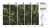 KONGO-MEGAARANZ-WALLART-TAPETA
