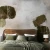 VERDE-MEGAARANZ-WALLART-TAPETA