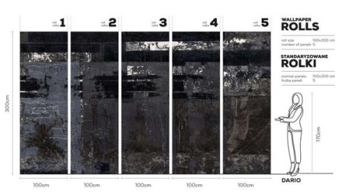 DARIO-MEGAARANZ-WALLART-TAPETA