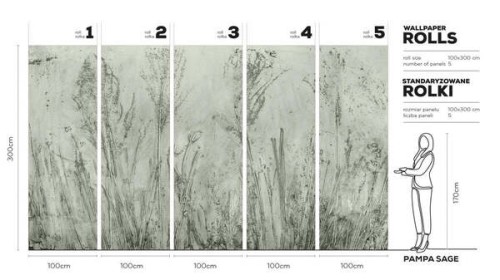 PAMPASAGE-WALLART-MEGAARANZ-TAPETA