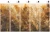TERRA-TAPETA-WALLART-MEGAARANZ