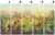 POPPY-MEGAARANZ-WALLART-TAPETA