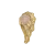 Mistic-No.5-Left-recznie-rzezbiony-megaaranz-papdeco