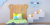 4199_Proform_PKAF02_PT5001_20_06_22_08_D_0_sc001v1_1_x_HIPPO_CLOUD_DM2439.jpg