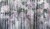 wonderwall-tapety-scienne1-zoe-megaaranz.jpg