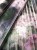 wonderwall-tapety-scienne4-zoe-megaaranz.jpg