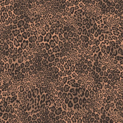 crop_tr5i8dzg4x9p04m3fjy857nw61secb02693oaul2hk71.jpg
