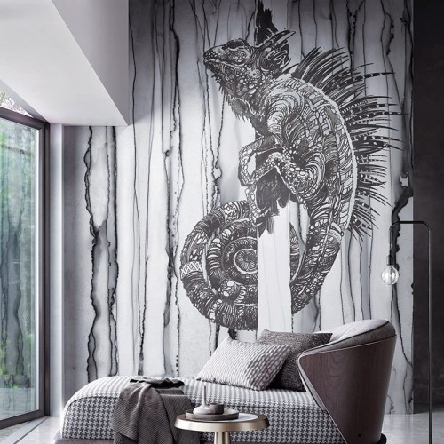 wonderwall-tapety-scienne-iguana-megaaranz.jpg