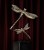Dragonfly-M-papdeco-megaaranz-mosiadz-2.jpg