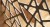 4074_Proform_XLA034_RA9003_09_05_00_00_G_H_sc003v1_2_x-127x69.png.jpg