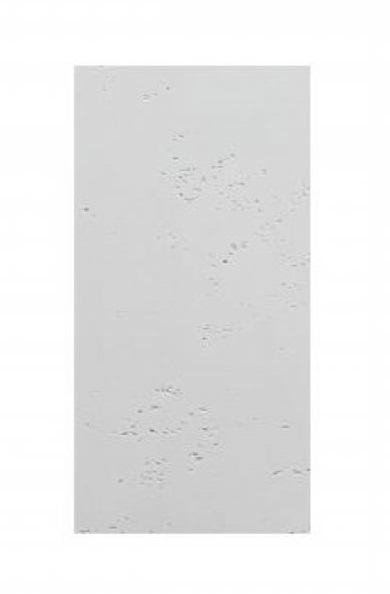 PŁYTA 60x30 BETON ARCHITEKTONICZNY VHCT