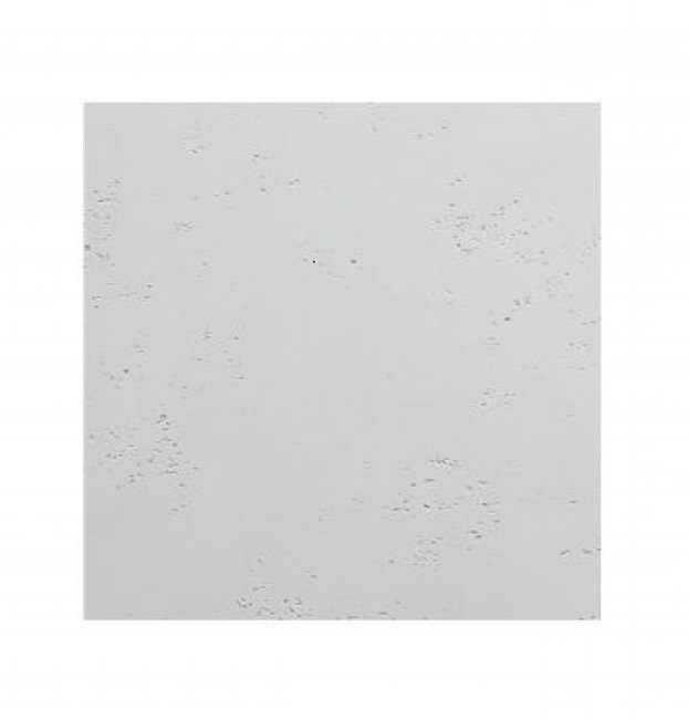 PŁYTA 60x60x1 BETON ARCHITEKTONICZNY VHCT